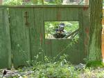 militarygames airsoft Brno