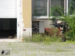 airsoft cqb Brno