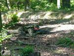 militarygames airsoft Brno