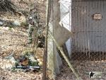 airsoft v brn s militarygames.cz
