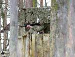 militarygames airsoft brno