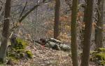 airsoft_game_militarygames