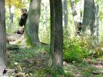airsoft Brno - militarygames.cz