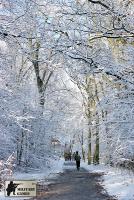 airsoftov zimn hra v Brn