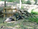 militarygames airsoft Brno