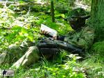 airsoft scenario game