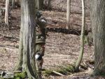 airsoft brno