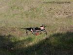 airsoft bzenec