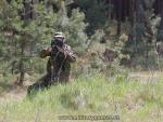 airsoft bzenec