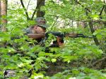 airsoft game bzenec
