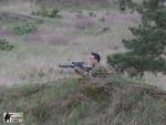 airsoft game bzenec