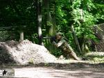 airsoft game brno