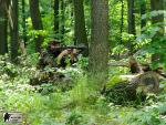 airsoft game brno