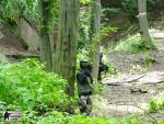 airsoft game brno