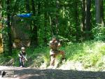 airsoft v brn s militarygames.cz