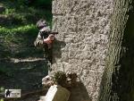 airsoft v brn s militarygames.cz