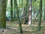 airsoft v brn s militarygames.cz