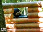 airsoft v brn s militarygames.cz