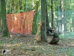 airsoft v brn s militarygames.cz