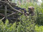 airsoft_military_games