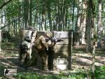 airsoft s militarygames v brn