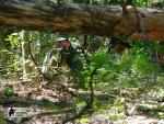 airsoft s militarygames v brn