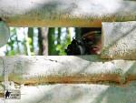 airsoft s militarygames nejen v brn