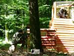 airsoft v brn s militarygames.cz