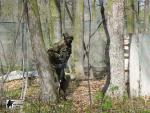 airsoft s militarygames v brn