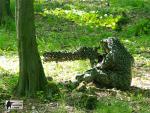 airsoft v brn s militarygames.cz