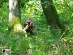 airsoft v brn s militarygames.cz