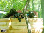 airsoft v brn s militarygames.cz