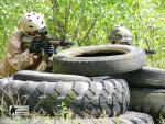 airsoft s militarygames v brn