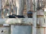 airsoft brno
