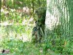 airsoft v brn s militarygames.cz