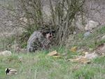 airsoft s militarygames nejen v brn
