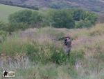 airsoft s militarygames v brn