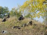 airsoft s militarygames v brn