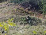 airsoft s militarygames nejen v brn