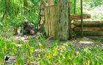 airsoft s militarygames v brn