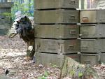 airsoft_game_militarygames