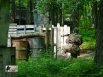 airsoft_game_militarygames
