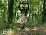 airsoft v brn s militarygames.cz