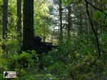 airsoft v brn s militarygames.cz