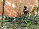 airsoft v brn s militarygames.cz