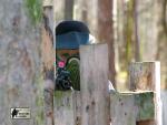 airsoft s militarygames v brn