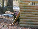 airsoft s militarygames v brn