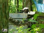 airsoft s militarygames v brn