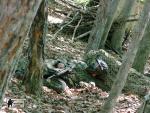 airsoft s militarygames v brn