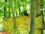 paintball jungle cup brno